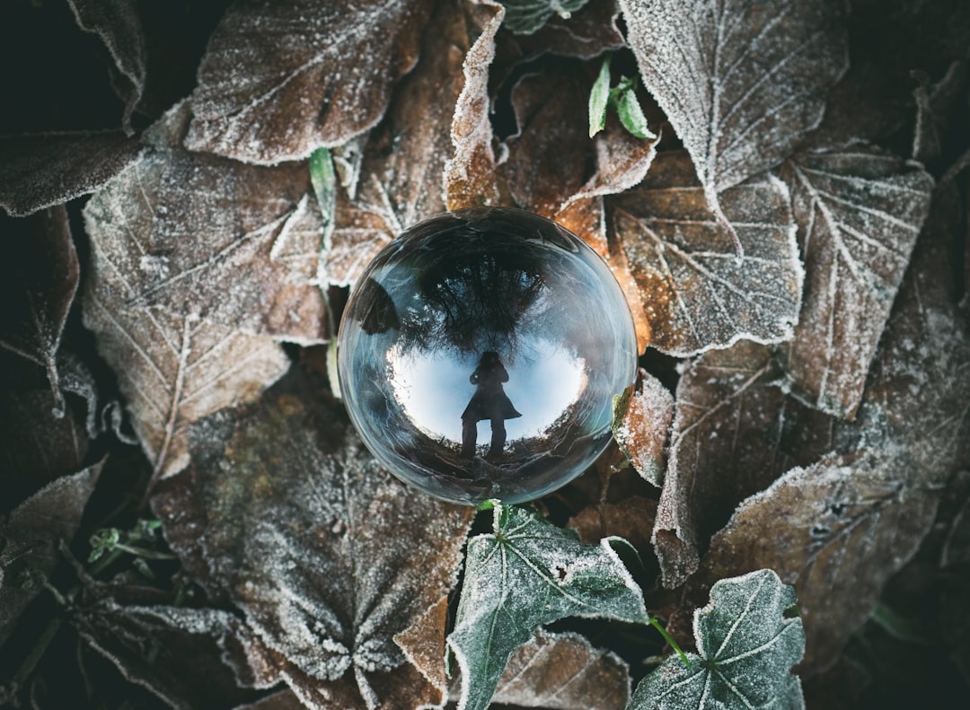 Photo Crystal ball